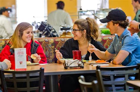 umd online services|umd dining dollars balance.